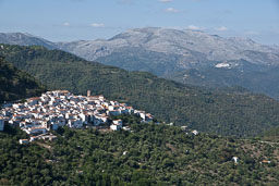 Andalusië 2009