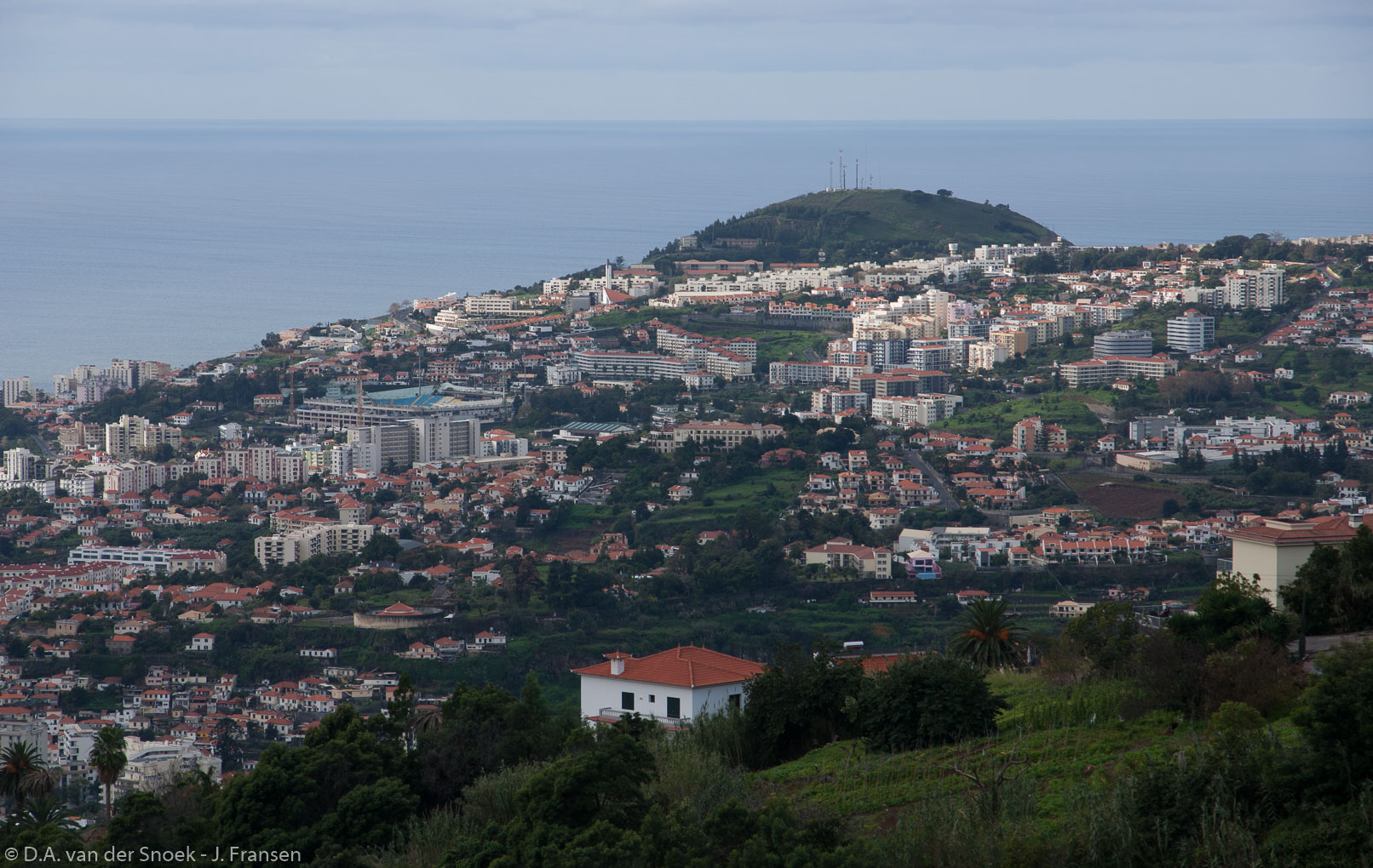 Madeira-300.jpg