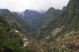 Madeira-040.jpg
