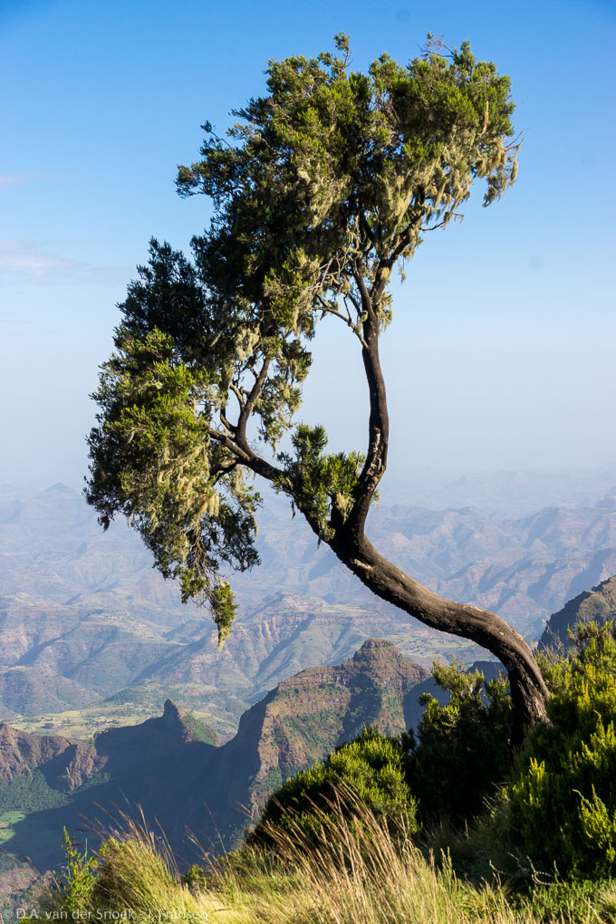 Ethiopië-0559_v1.jpg