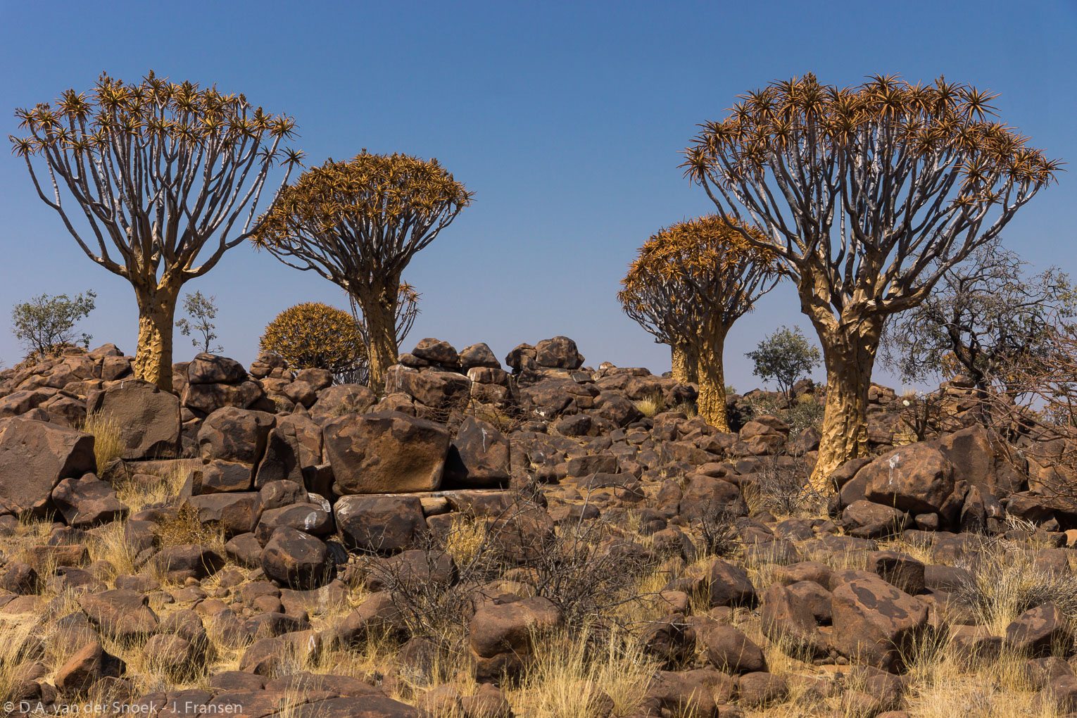 Namibië-0258_v1.jpg