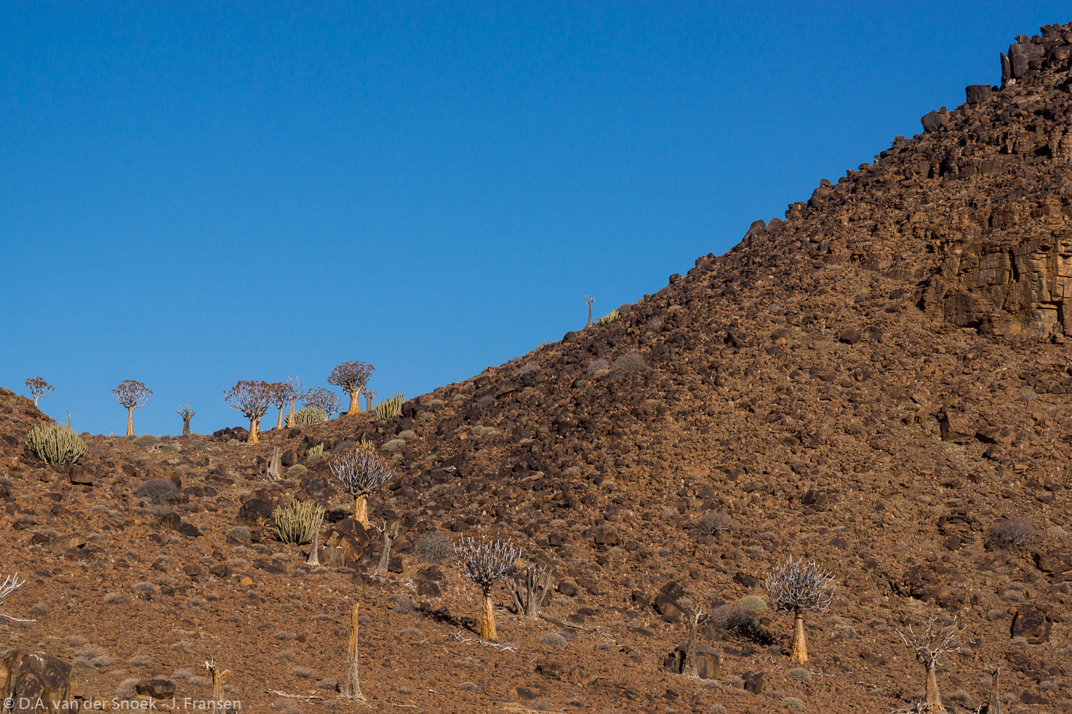Namibië-0559_v1.jpg