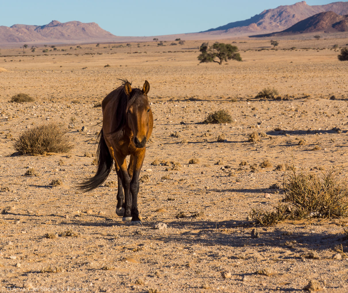 Namibië-0822_v1.jpg