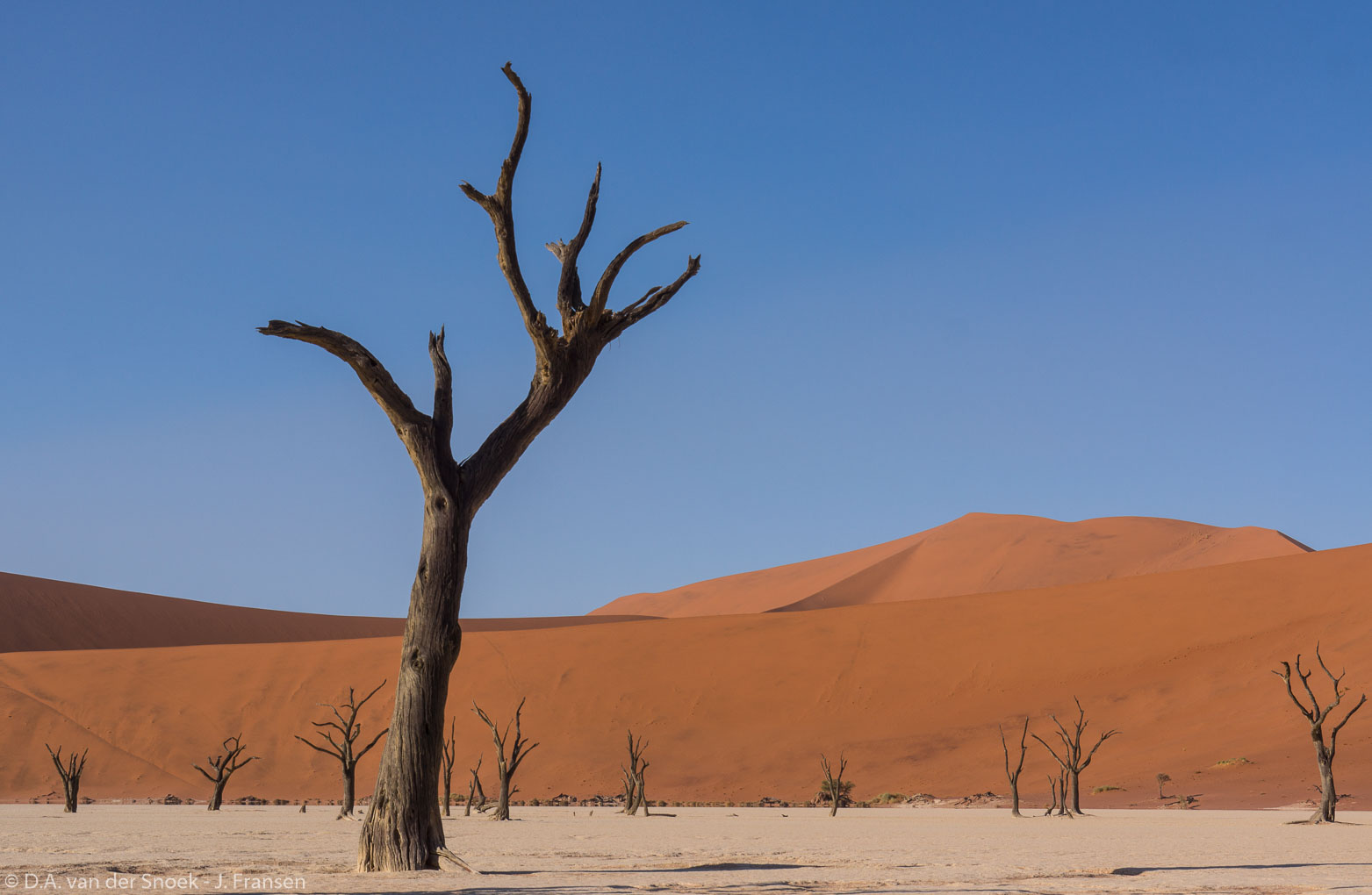 Namibië-1116_v1.jpg