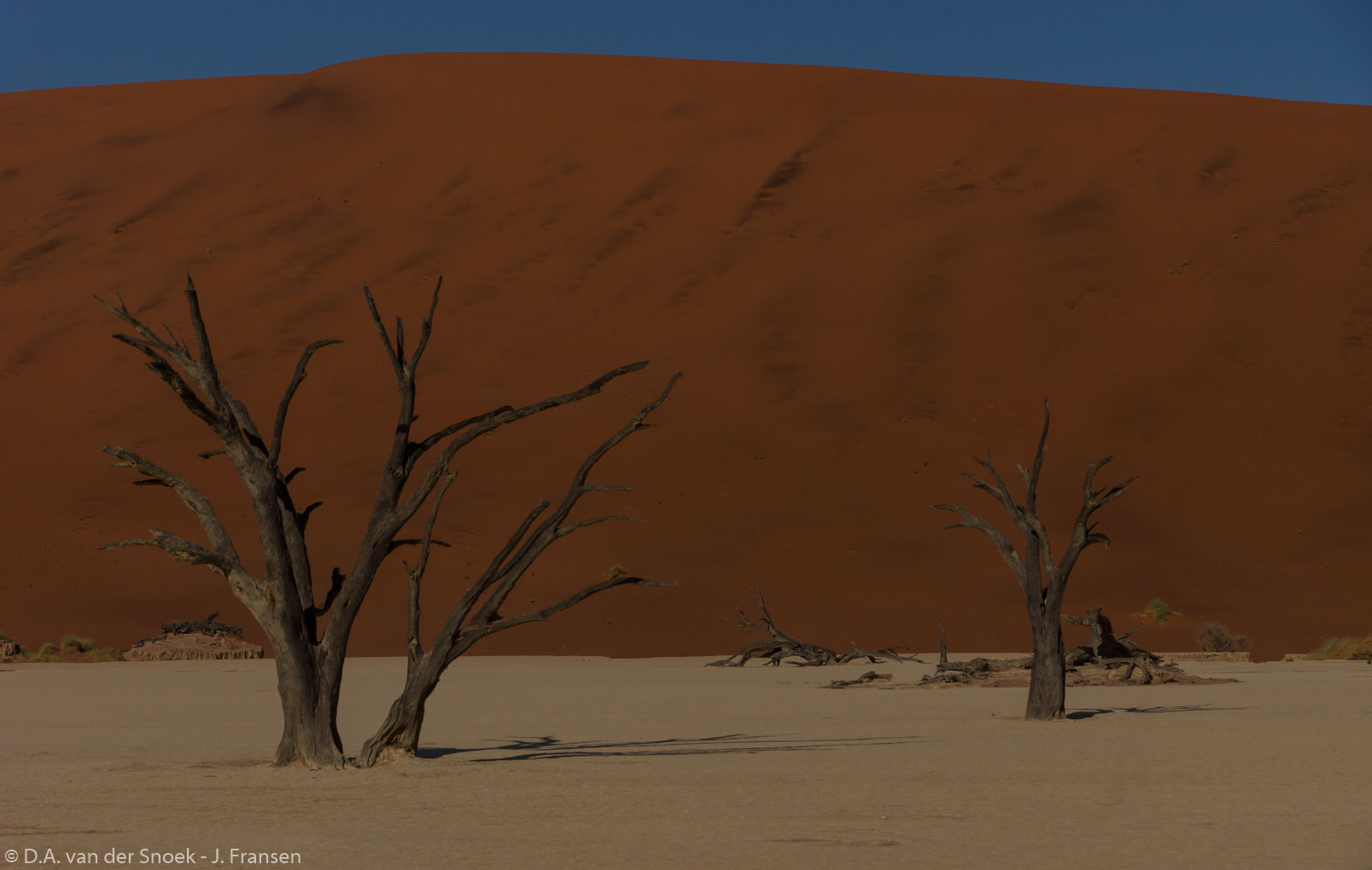 Namibië-1127_v1.jpg