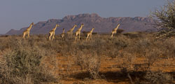Namibië-0074_v1.jpg